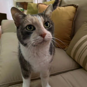 Meet your Posher, Catherine